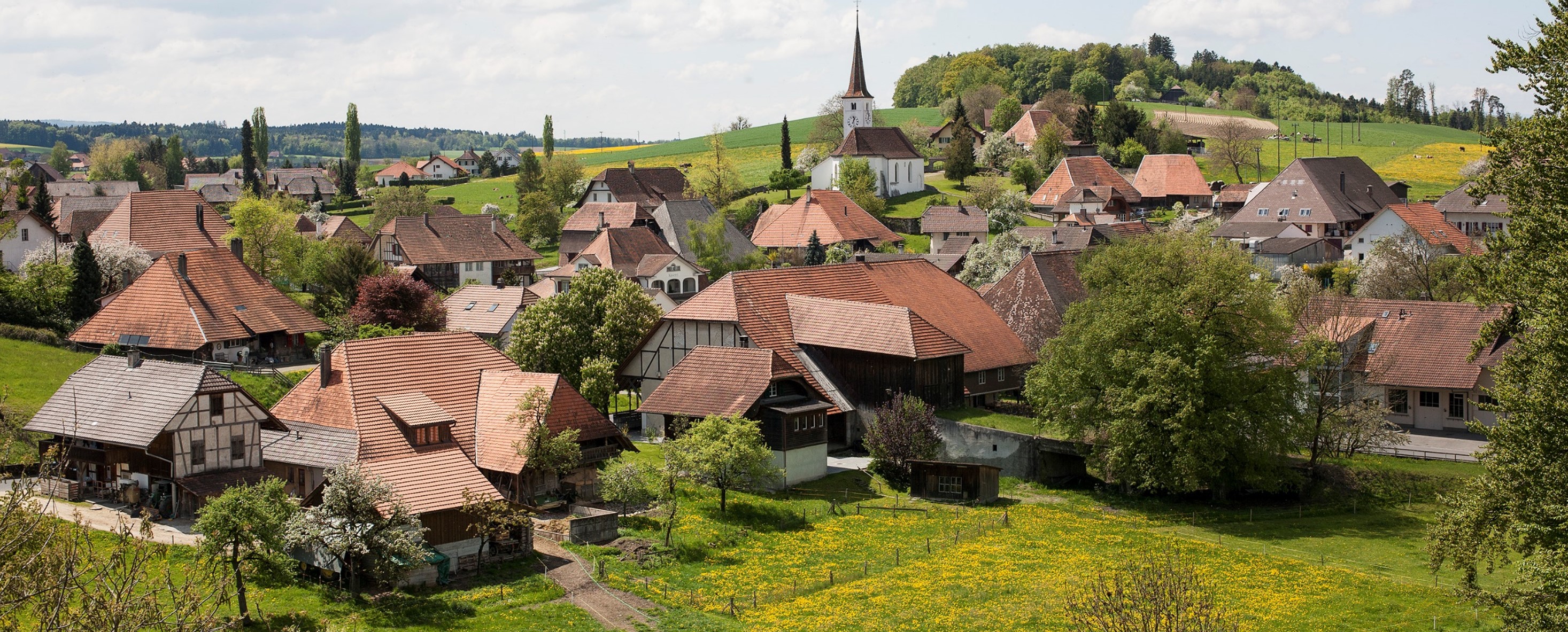 Gemeinde Oberwil bei Büren