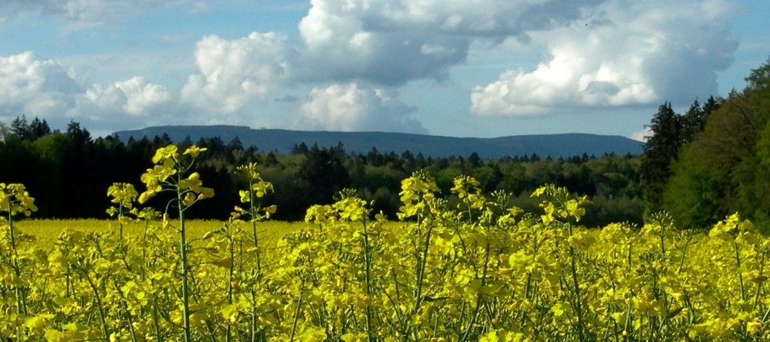 Gemeinde Thunstetten